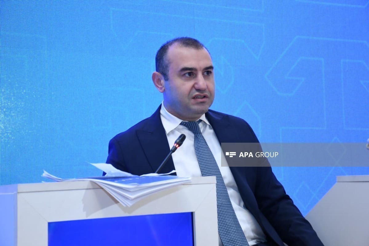 Замминистра: Предложения Бакинского форума найдут отражение в итоговом документе
