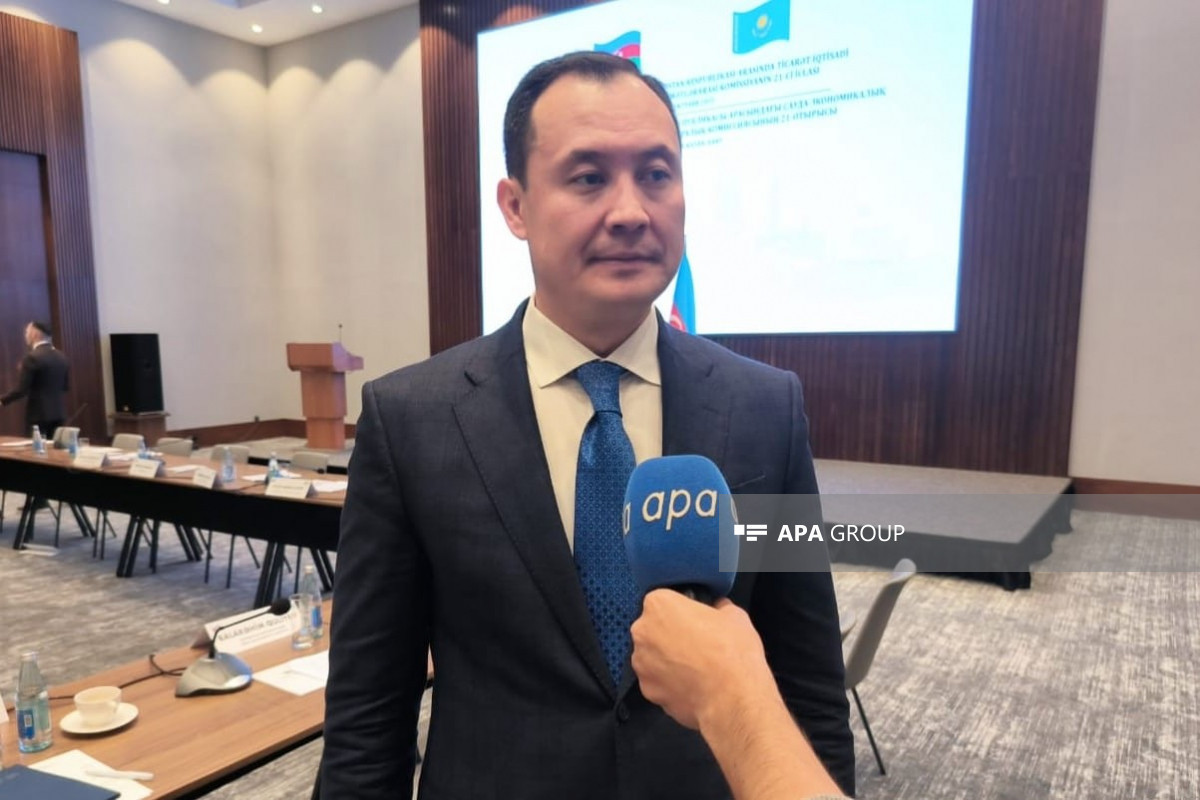 Замминистра: Все зависит от транзитной цены Азербайджана - ИНТЕРВЬЮ