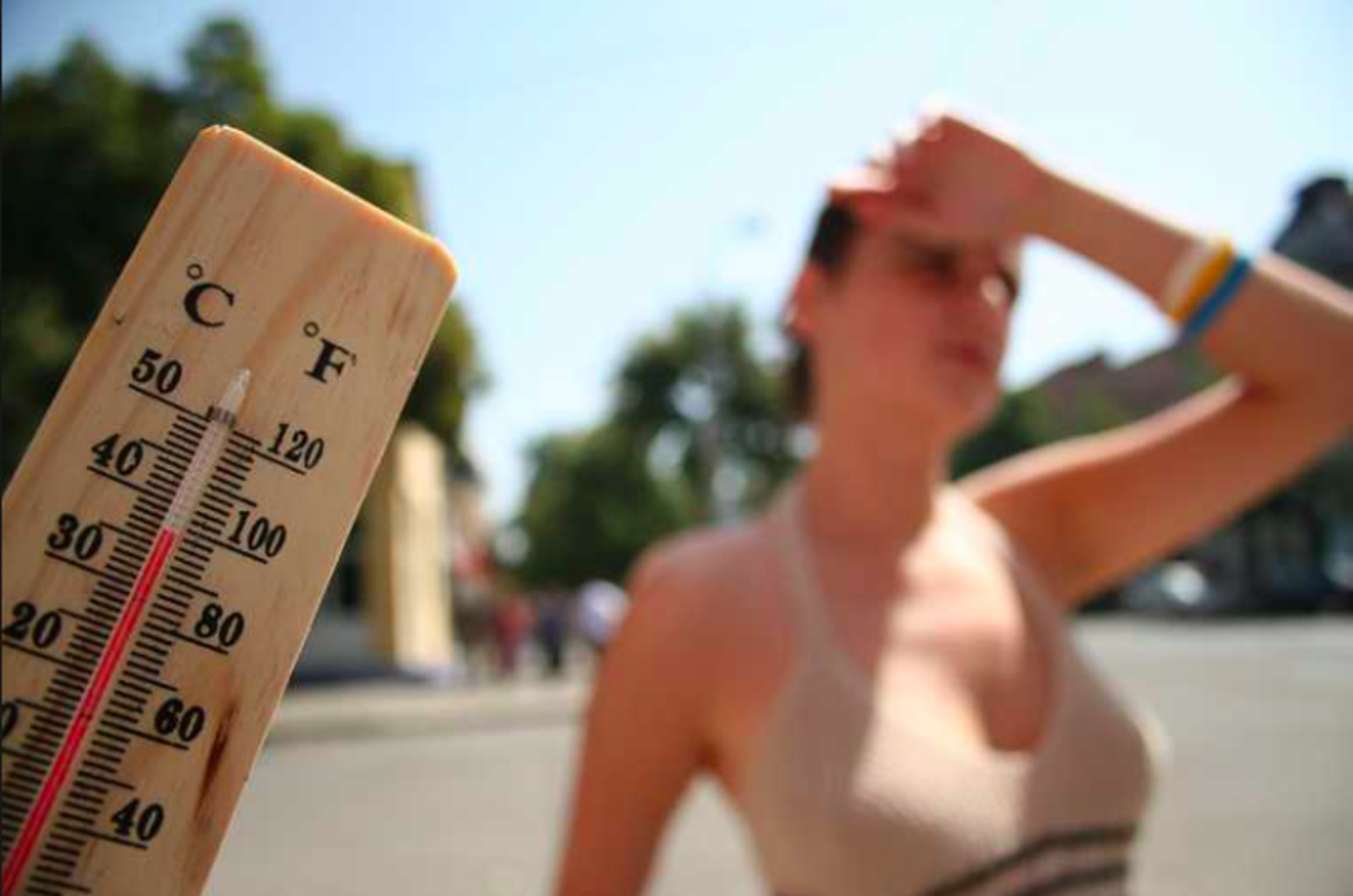 Завтра в Азербайджане ожидается 37° тепла - ПРОГНОЗ