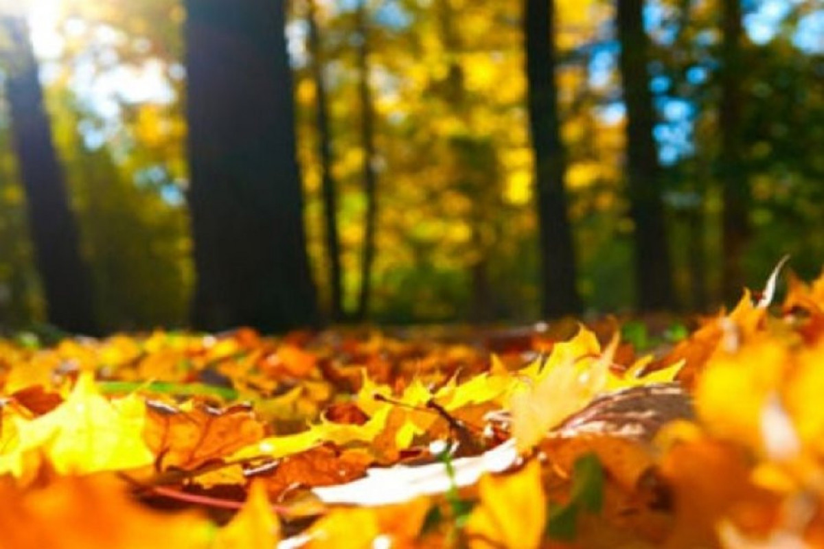 Завтра в Баку ожидается +28°, в регионах +30°