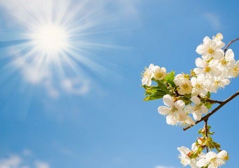 Завтра в Баку ожидается до 31° тепла