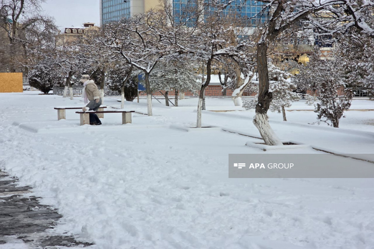 Завтра в Баку ожидается снег-ПРОГНОЗ